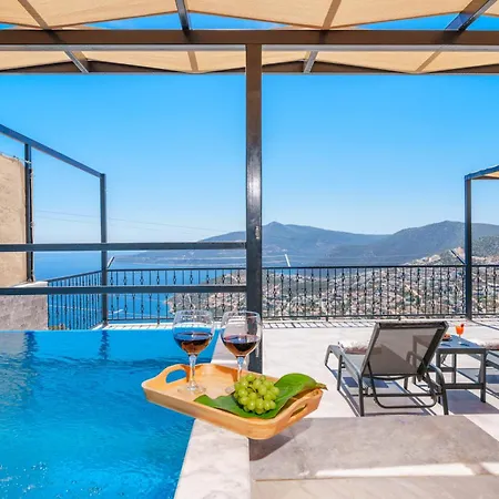 Luxury With Pool And Sauna In Ferienhaus *